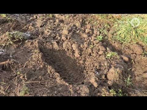 GLD Nieuws 31 december 2019