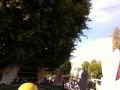 DISNEYLAND FUN