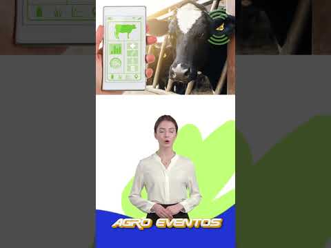 Vídeo 1