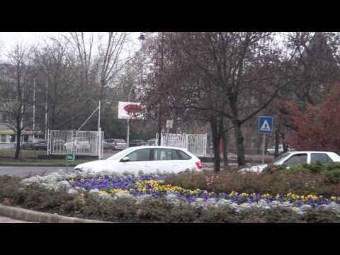 Ricsifiú a közlekedésről