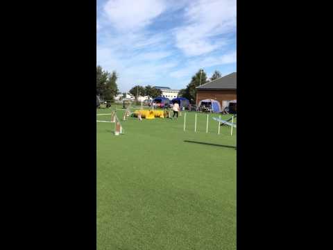 Fendris og May Kristin - Agilitystevne