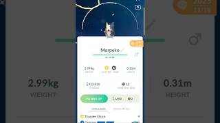 Transferring a shiny Morpeko #pokemongo #pokemon #shinypokemon