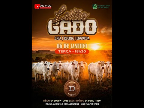 LEILAO DE GADO  06 - 01 - 2026 - Sindicato Rural de Rio Verde - Dêgo Leilões