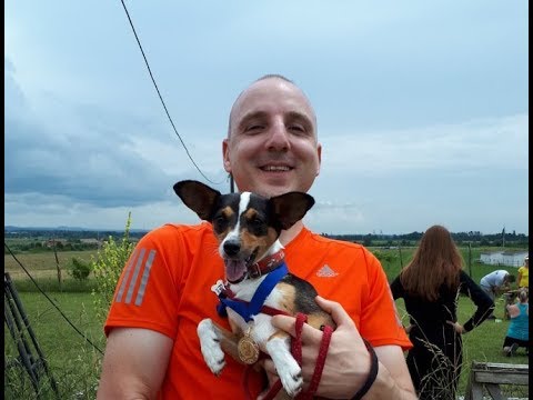 Füge kilencedik agility versenye (Retró Agility Party Pomáz - 2019.06.23)