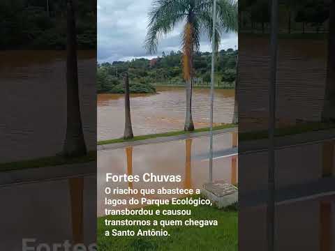 Fortes Chuvas em Santo Antônio da Alegria #shorts #forteschuvas  #chuvas #alagamento