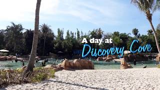 A Day at Discovery Cove Orlando