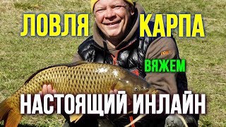 Монтаж инлайн для ловли карпа