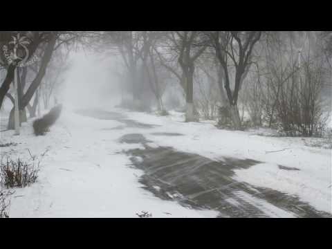 ???? Winter Storm Ambience with Howling Blizzard and Drifting Snow on an Abandoned Road in Norway.