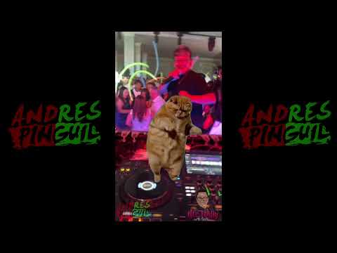 1 2 3 ESHO - TIGRE BRAVO MANUELITO DUCHI Tiktok Viral (MR.WILLY) | Dj Andres Pinguil 2025