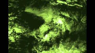 CK &quot;HYBRID STANCE ft.satori&quot; (2011)