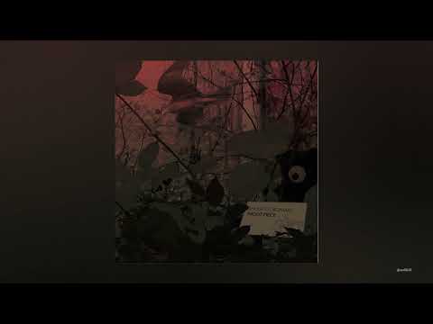 Shugo Tokumaru - Night Piece [Full Album]