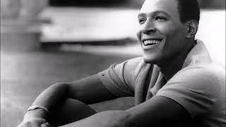 The Days Of Wine And Roses