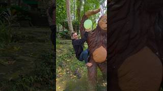 Download lagu meletus balon hijau#trendingshorts mp3