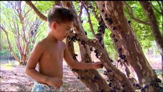 Miniatura do vídeo
