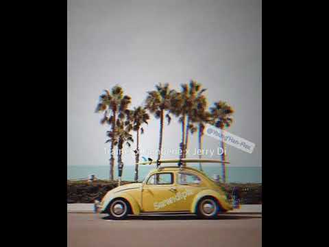 Trainer x Jambene x Jerry Di (Serendipia) Story WhatSapp