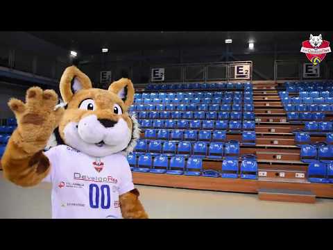 #THROWBACK Developres SkyRes Rzeszów - BKS PROFI CREDIT Bielsko Biała | 3:0 | 2018.12.17