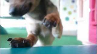 Turquoise Colors - Reminisce