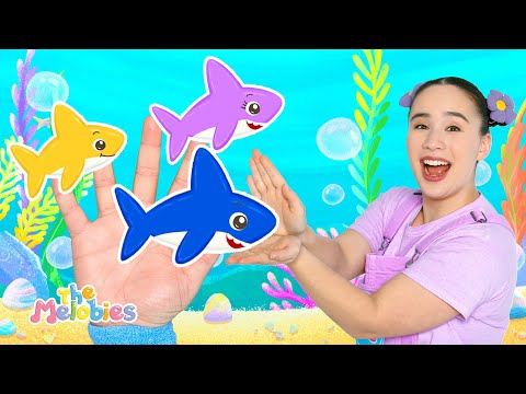 NEW Baby Shark Family Finger Baby Song |  New Nursery Rhymes with the Melobies