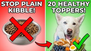 Stop Feeding Plain Kibble! 20 Healthy Toppers