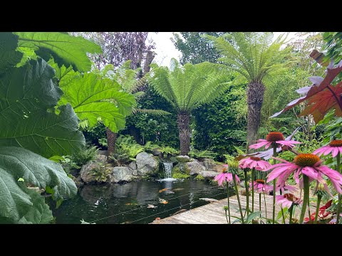 Walking Talking Tour of Amazing Private UK Tropical Garden. Inspirational