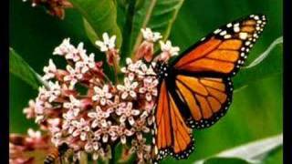 Far Away by Kevyn Lettau