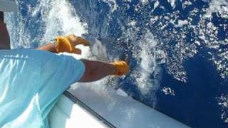 Blue Marlin Happy Hour
