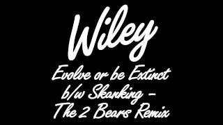 Wiley - I'm Skanking (2 Bears Remix) video