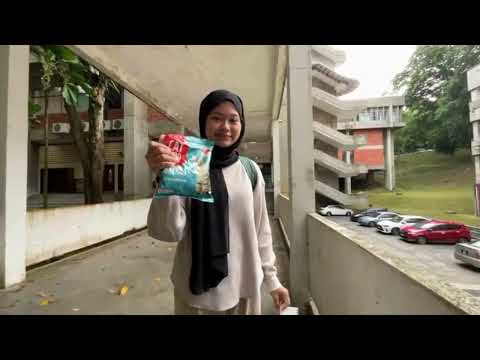 Group 5 : FEEDING STRAY CATS