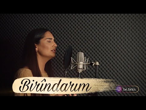 BETÜL BARKIN YILDIZ - Birîndarım