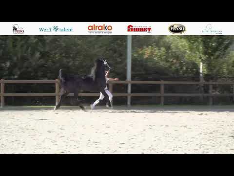 Stamboekkeuring Nunspeet | 8 Oktober 2022