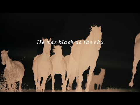 Adia Victoria - Went for a Ride (From "My Black Country: The Songs of Alice Randall")