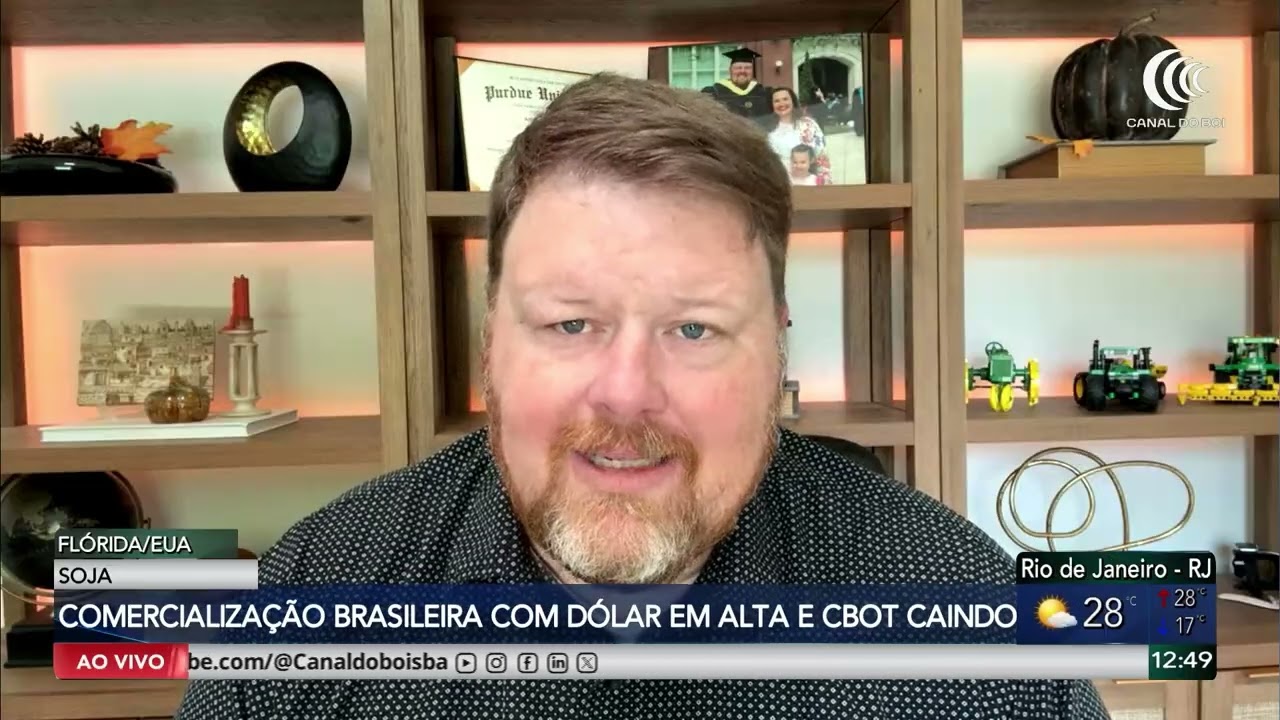 Soja brasileira sente pressão da queda em Chicago