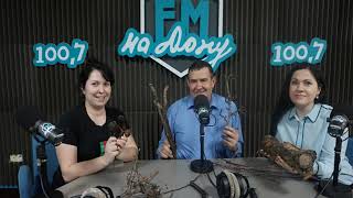 Зачем в январе белить деревья