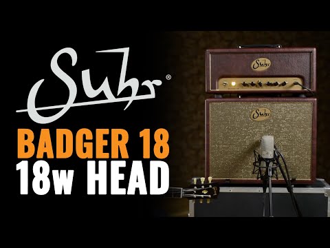 Suhr Badger 18 Tube Amp Head | CME Gear Demo | Joel Bauman