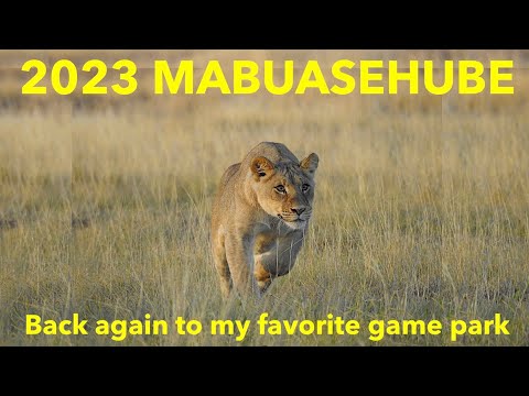 2023 Mabuasehube trip: Discover Mpayatutlwa, Mabuasehube, Kgalagadi