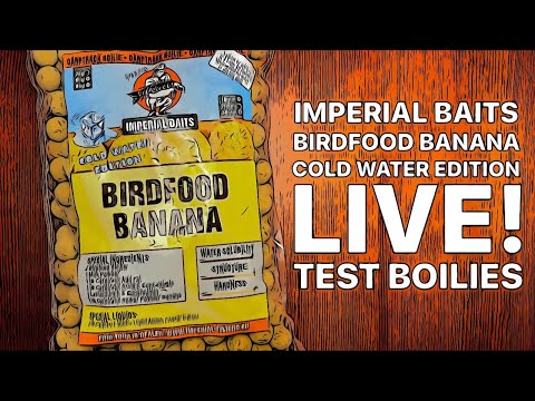 TEST BOILIES IMPERIAL BAITS BIRDFOOD BANANA COLD WATER EDITION - 6 PRUTŮ - JEDEN KAPR NA?🤣✌️LIVE!