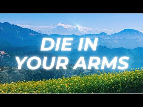 Mvse video