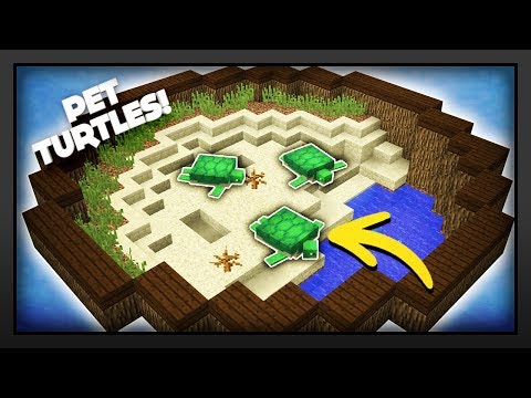 Biggs87x - Minecraft - How To Make A Turtle Enclosure