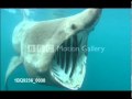 Our Blue Planet