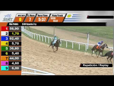 SINT MELO 4 DE MAYO 2023