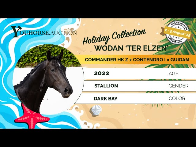 Wodan 'ter Elzen'