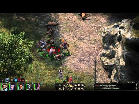 Pillars of Eternity - The White March Part II #4 walkthrough