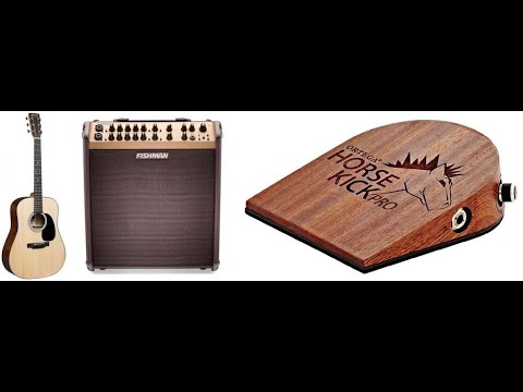 Martin D12E, Fishman LBT700 Amp, Ortega Horse Kick