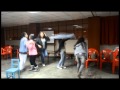Bloopers Effort ONE DNI
