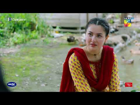 Ghag Himmat Nahi Zillat Hai !! - Sang e Mah