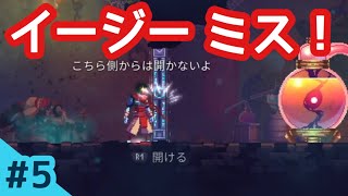 #5【アクション】後ろに立つんじゃない！エクソイの「Dead Cells」