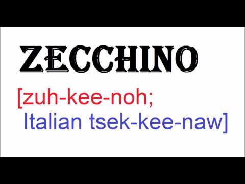 How To Pronounce ZECCHINO