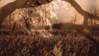 Alides Hidding Hollywood Seven