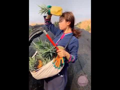 When you are the owner of a farm