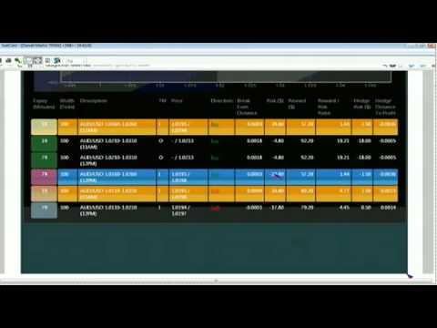 March 1st Bull-Bear Binary Option Hour with host Darrell Martin - 2013